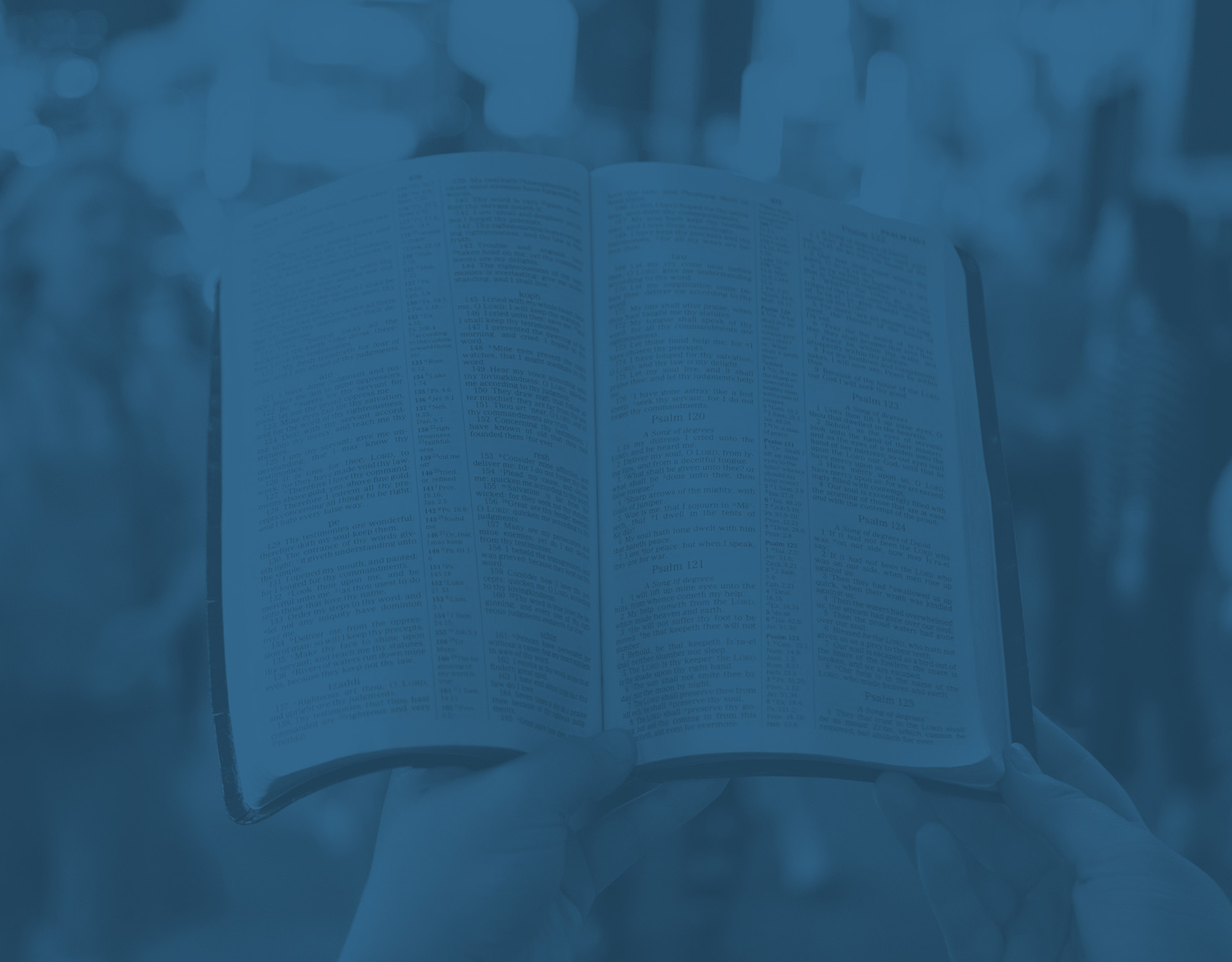 Rethink Women’s Bible Study Checklists