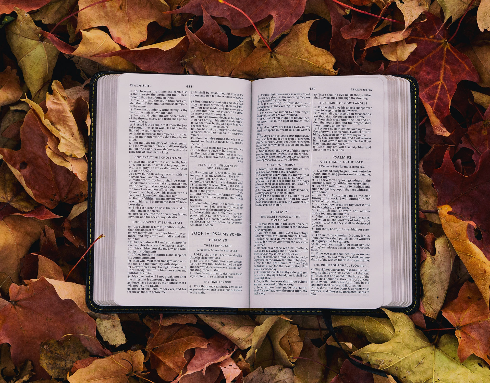 Fall—A Revealing Time