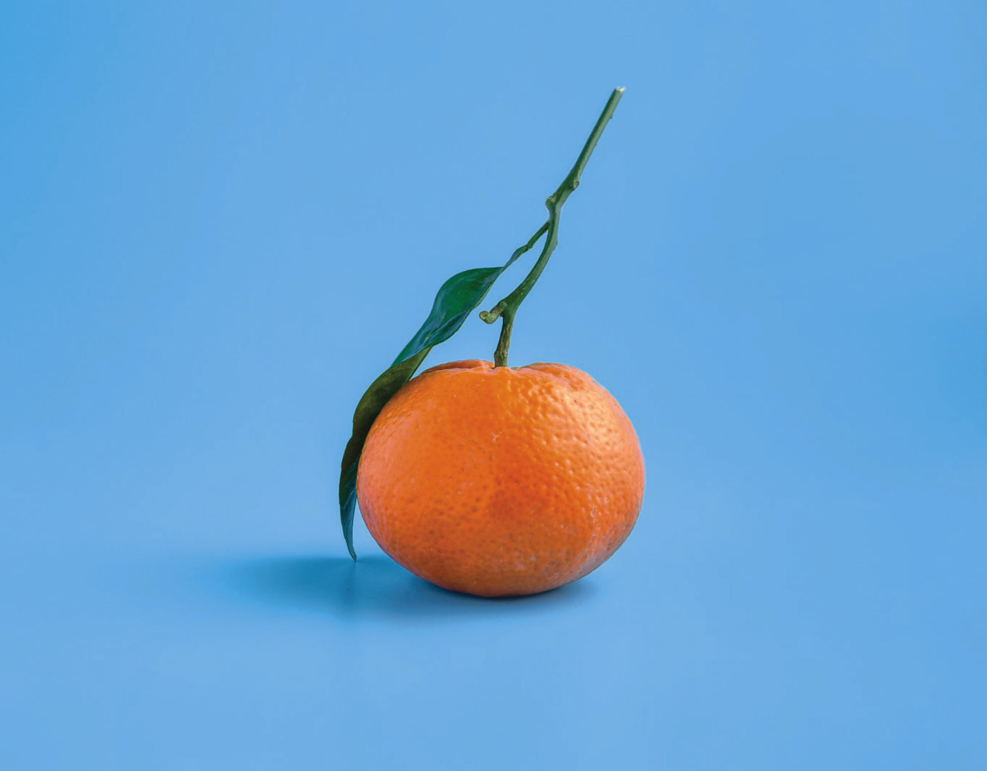How May I Be Fruitful During Crisis?